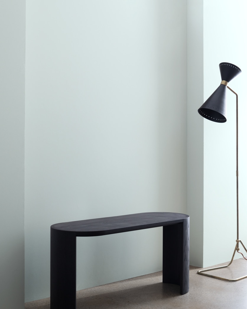 Painted wall in Mountain Mist 868