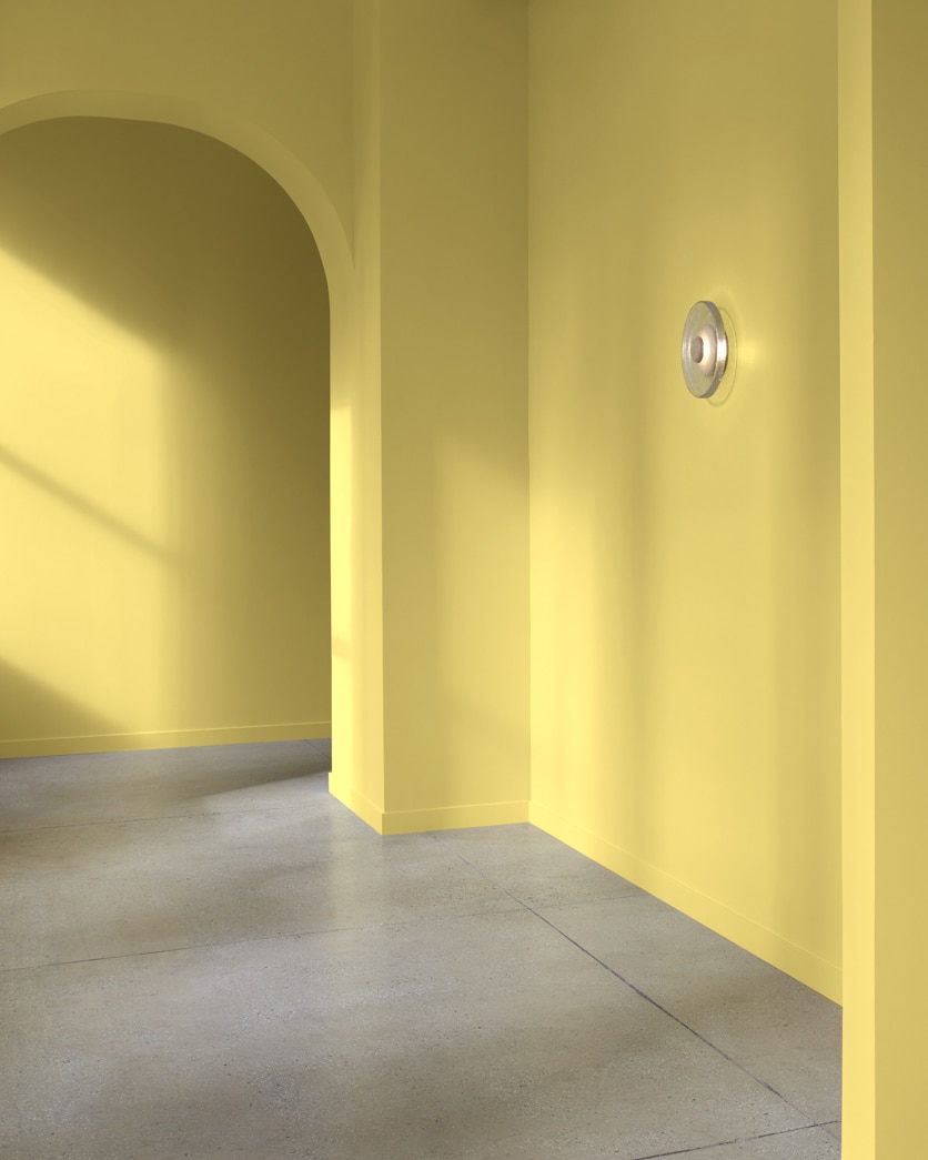 Painted wall in Mustard Field 377