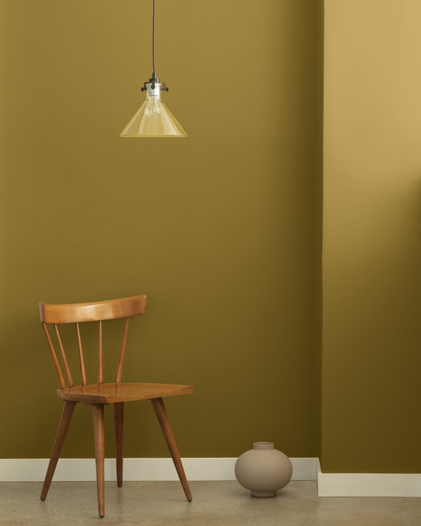Painted wall in Mustard Olive 2151-10