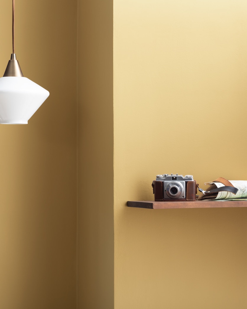 Painted wall in Mustard Seed 222