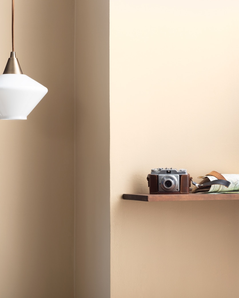 Painted wall in Mystic Beige 2162-60