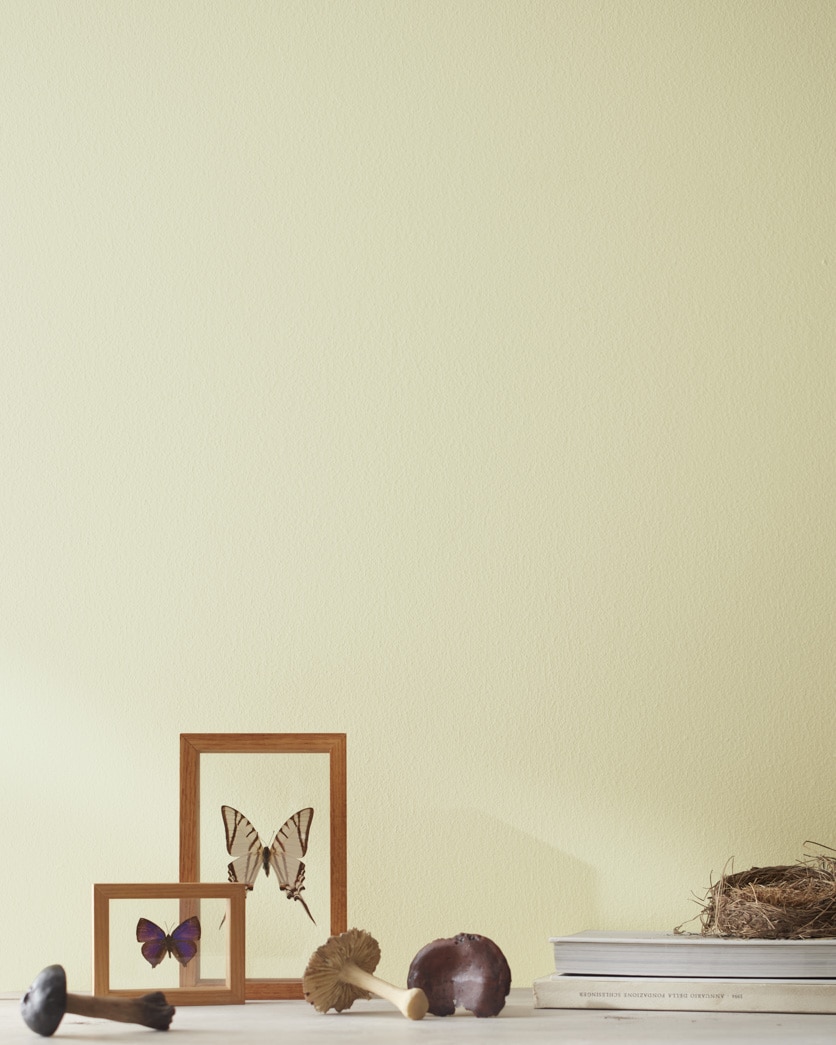 Painted wall in Nantucket Breeze 521