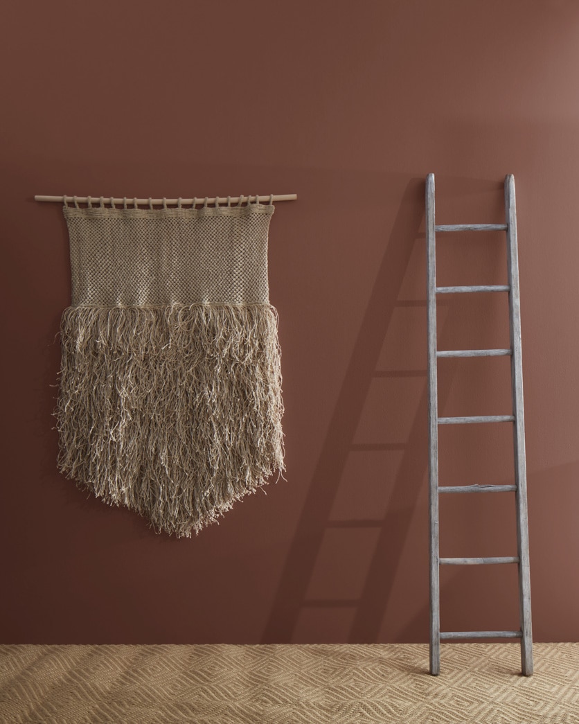Painted wall in Natural Brown 2103-10