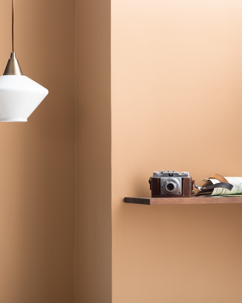Painted wall in Natural Leather CSP-1065