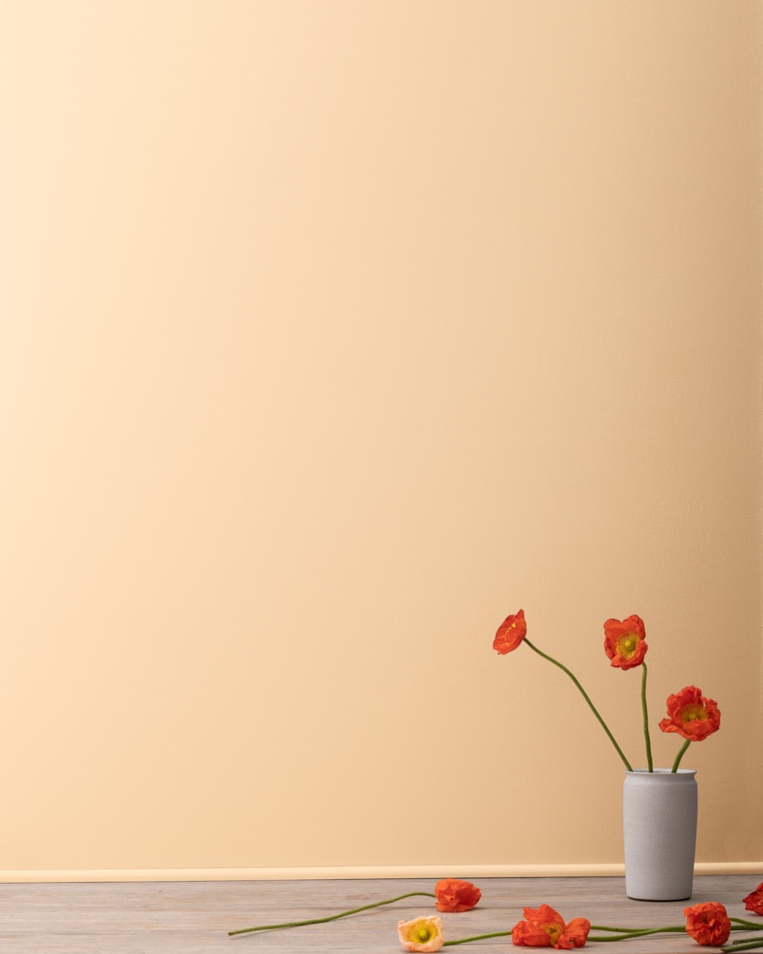 Painted wall in Natural Sand 2165-50