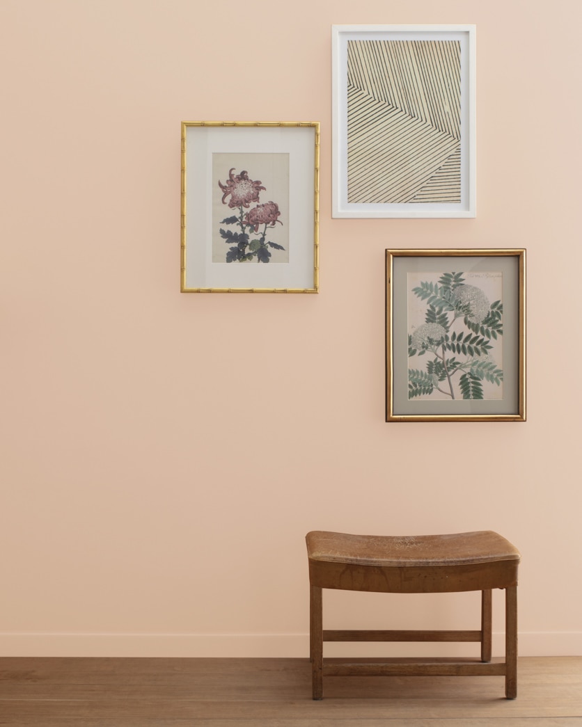 Painted wall in Nature's Symphony 1152