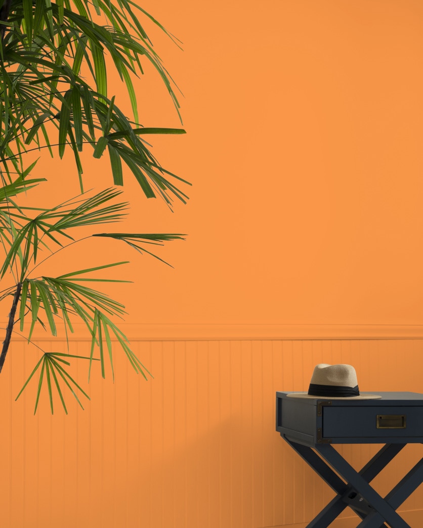 Painted wall in New Dawn 133