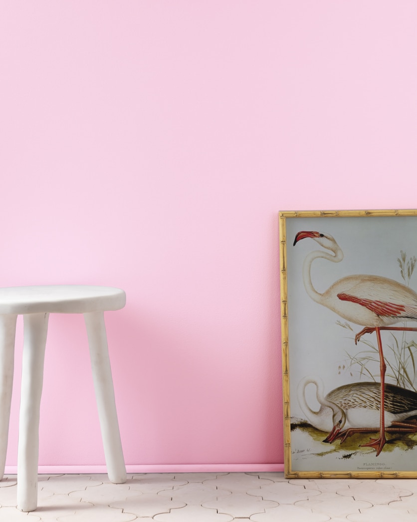 Painted wall in Newborn Pink 2078-60