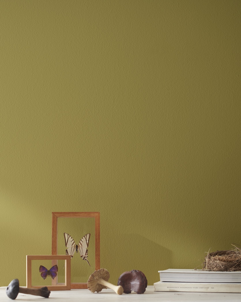 Painted wall in Newt Green 2149-10