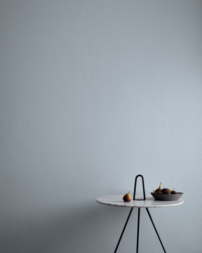 Painted wall in Nickel 2119-50