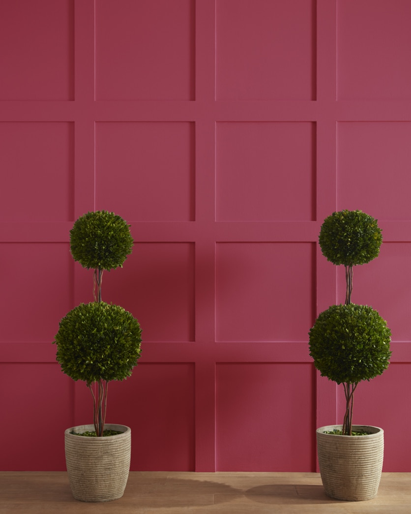 Painted wall in Night Flower 1344