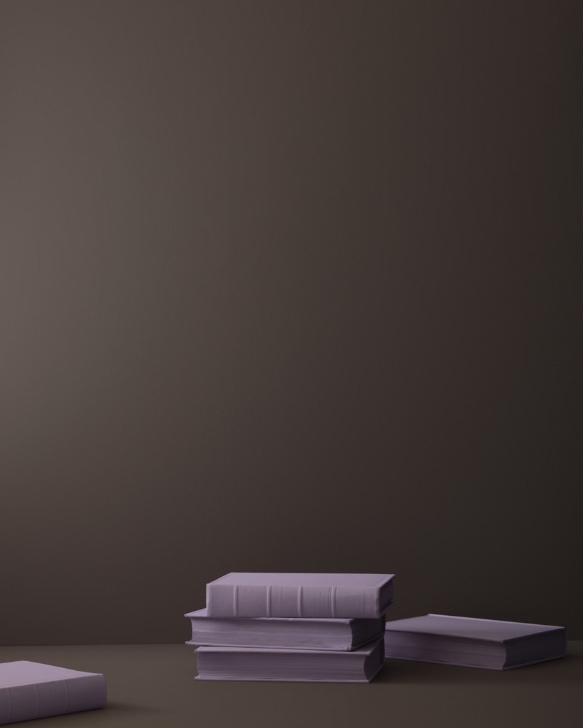 Painted wall in Night Shade 2116-10