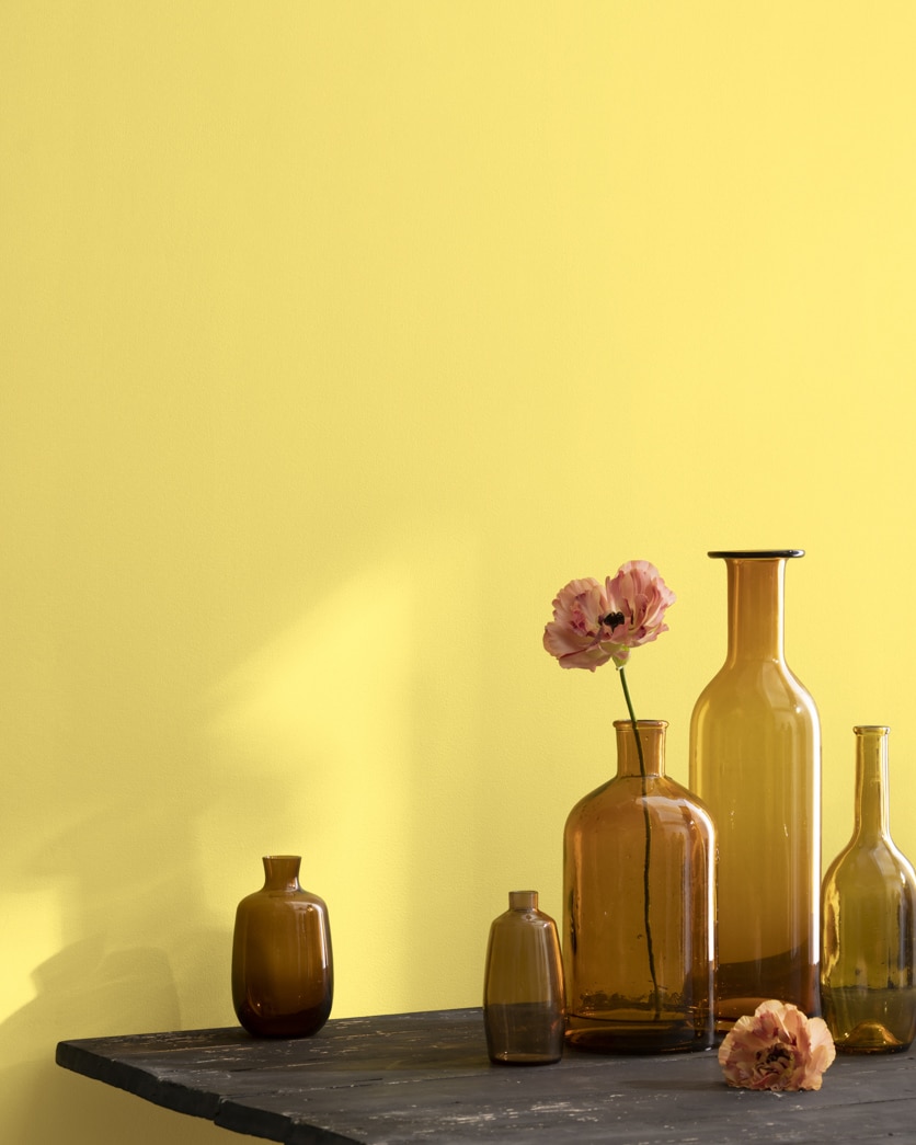 Painted wall in No-Nonsense 361