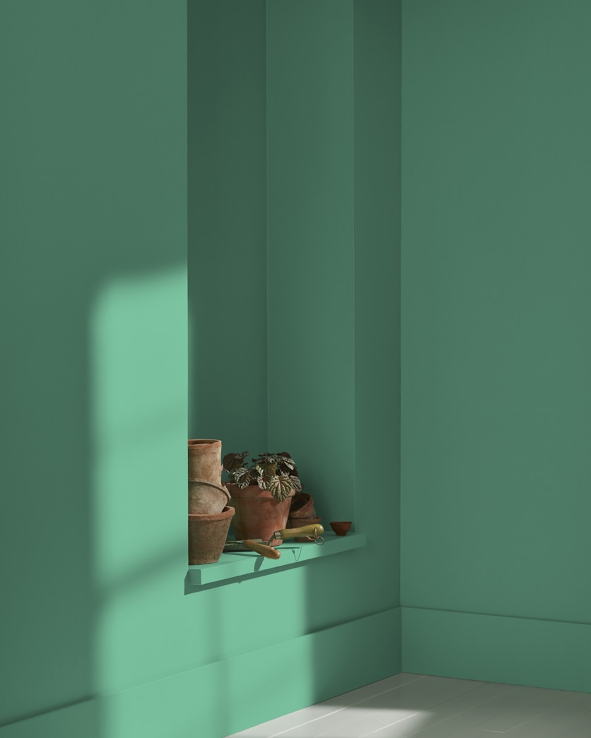 Painted wall in Northern Lights 586
