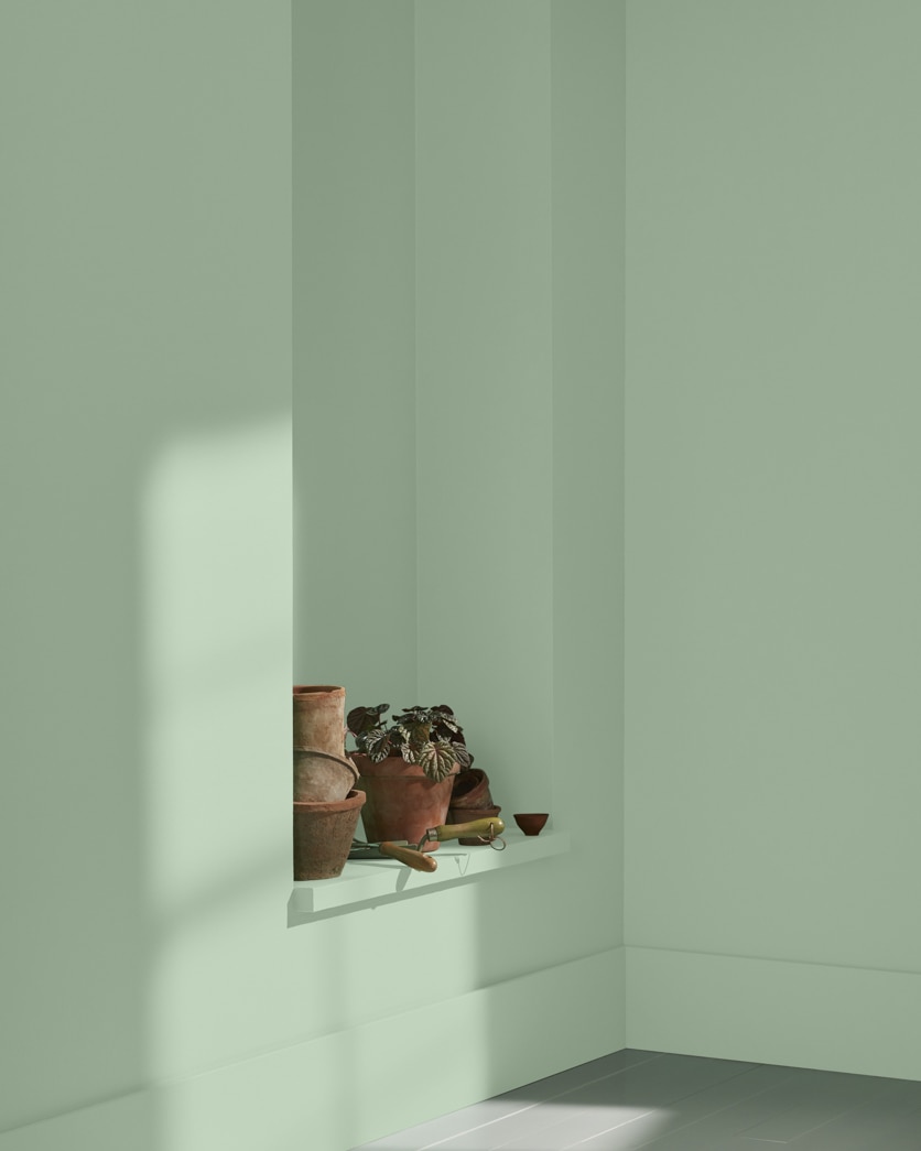 Painted wall in Norway Spruce 452