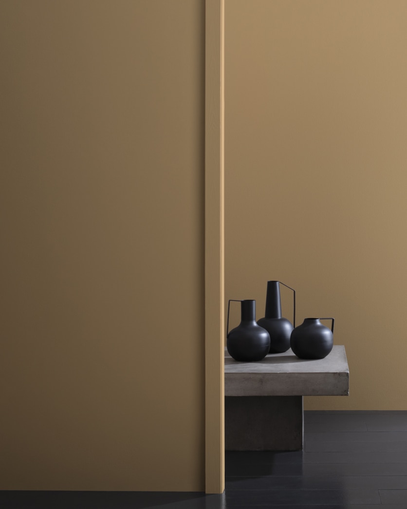 Painted wall in Norwester Tan CC-332
