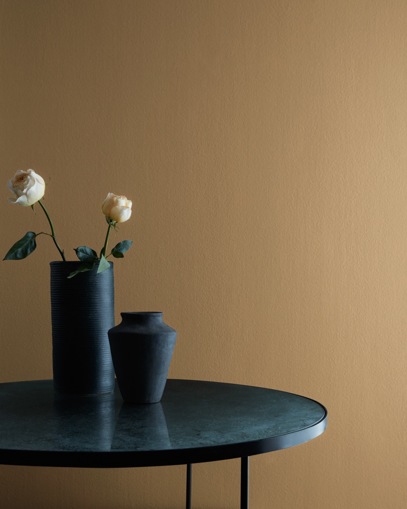 Painted wall in Norwich Brown HC-19