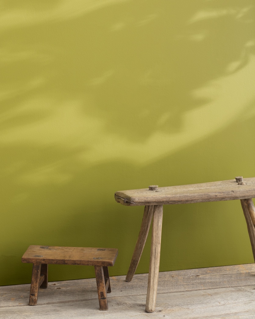 Painted wall in Olive Tree 392