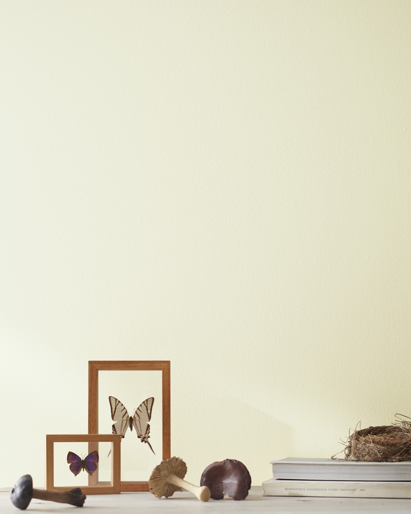 Painted wall in Olivetint 519