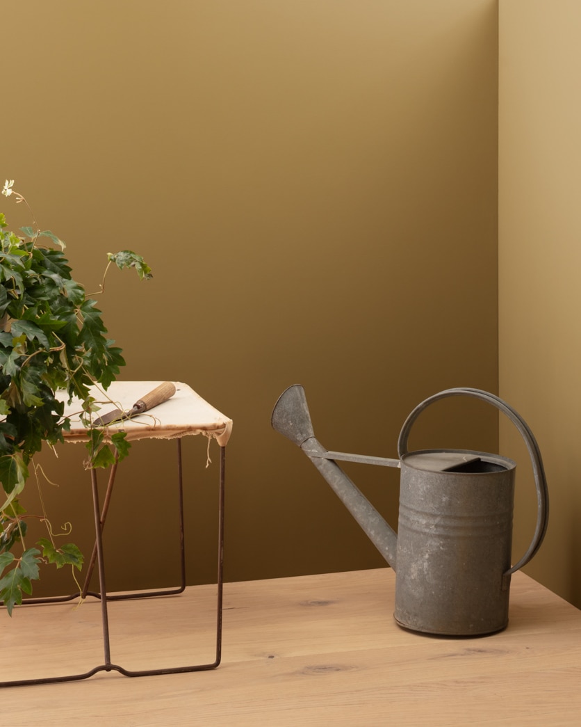 Painted wall in Olivetone 252