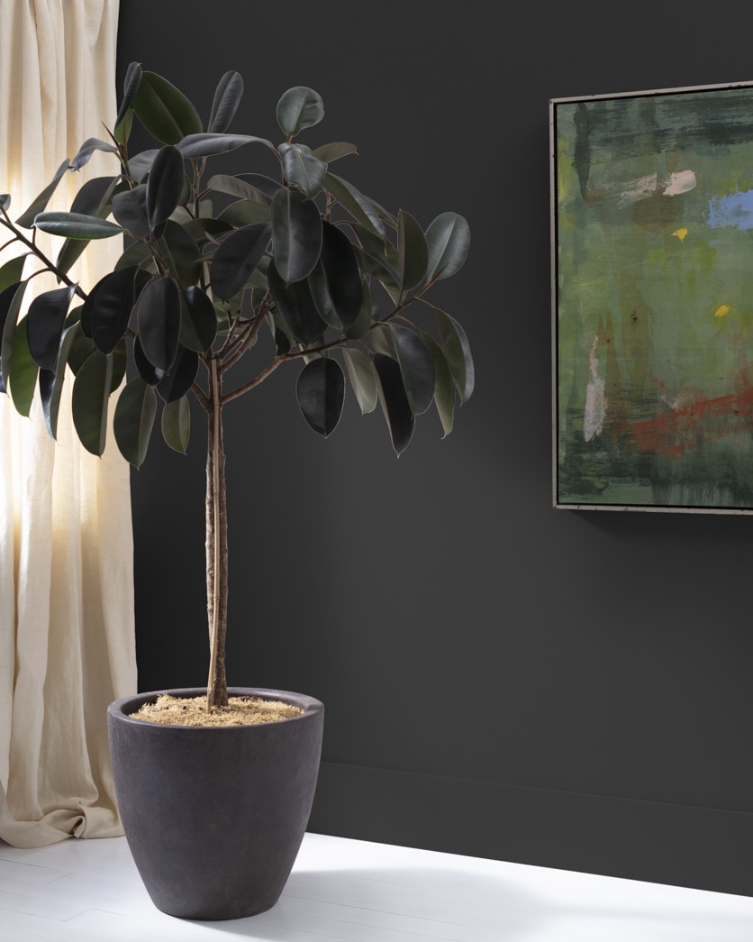Painted wall in Onyx 2133-10