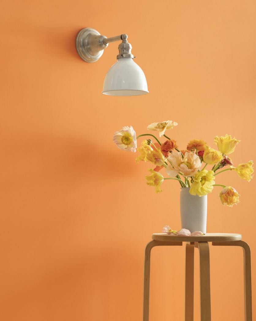 Painted wall in Orange Appeal 124