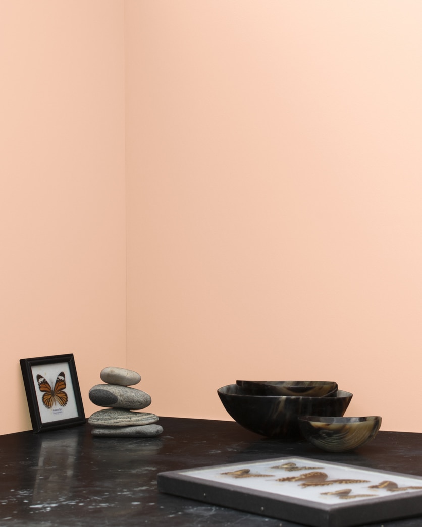 Painted wall in Orange Creamsicle 059