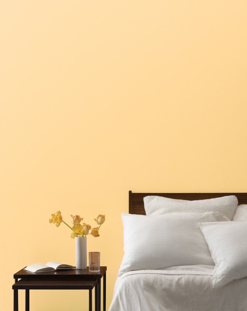 Painted wall in Orange Froth 151