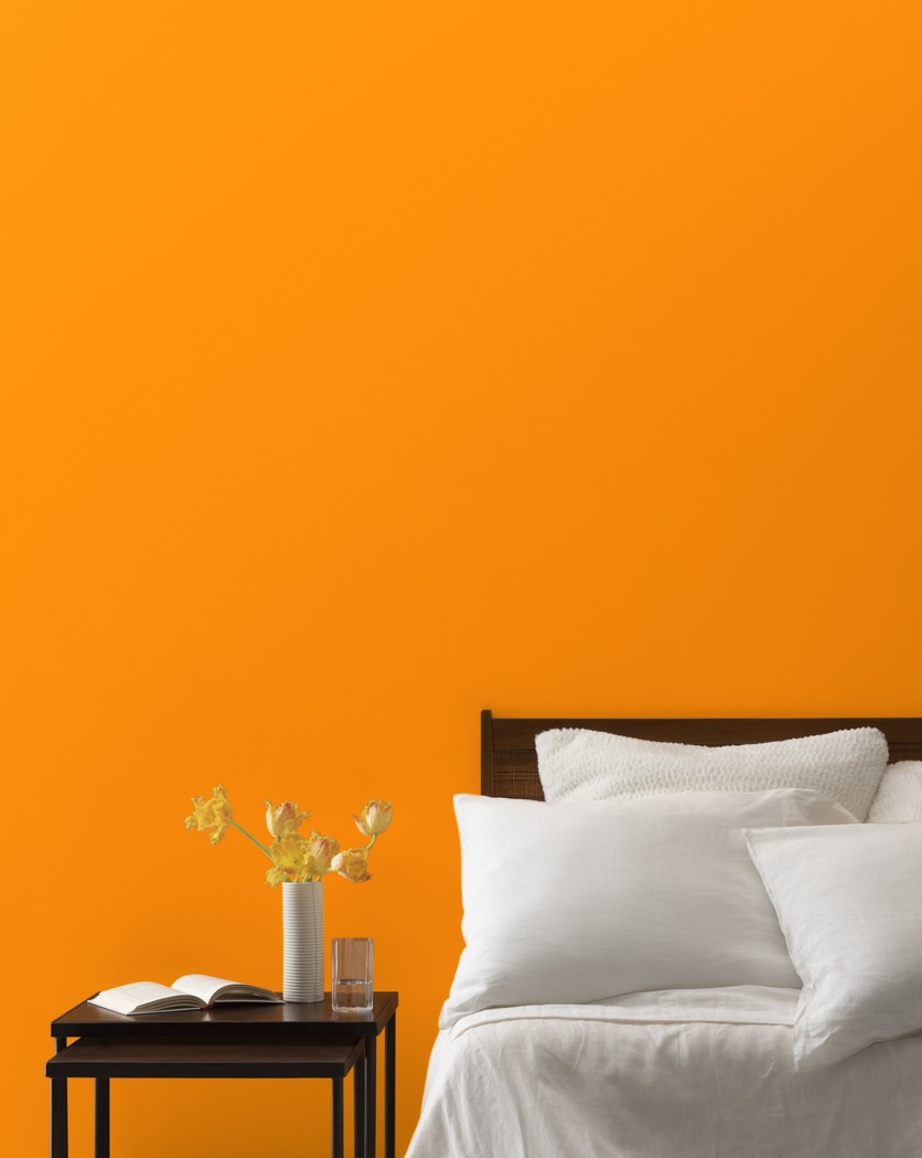Painted wall in Orange Juice 2017-10