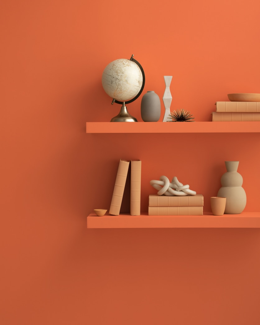 Painted wall in Orange Parrot 2169-20