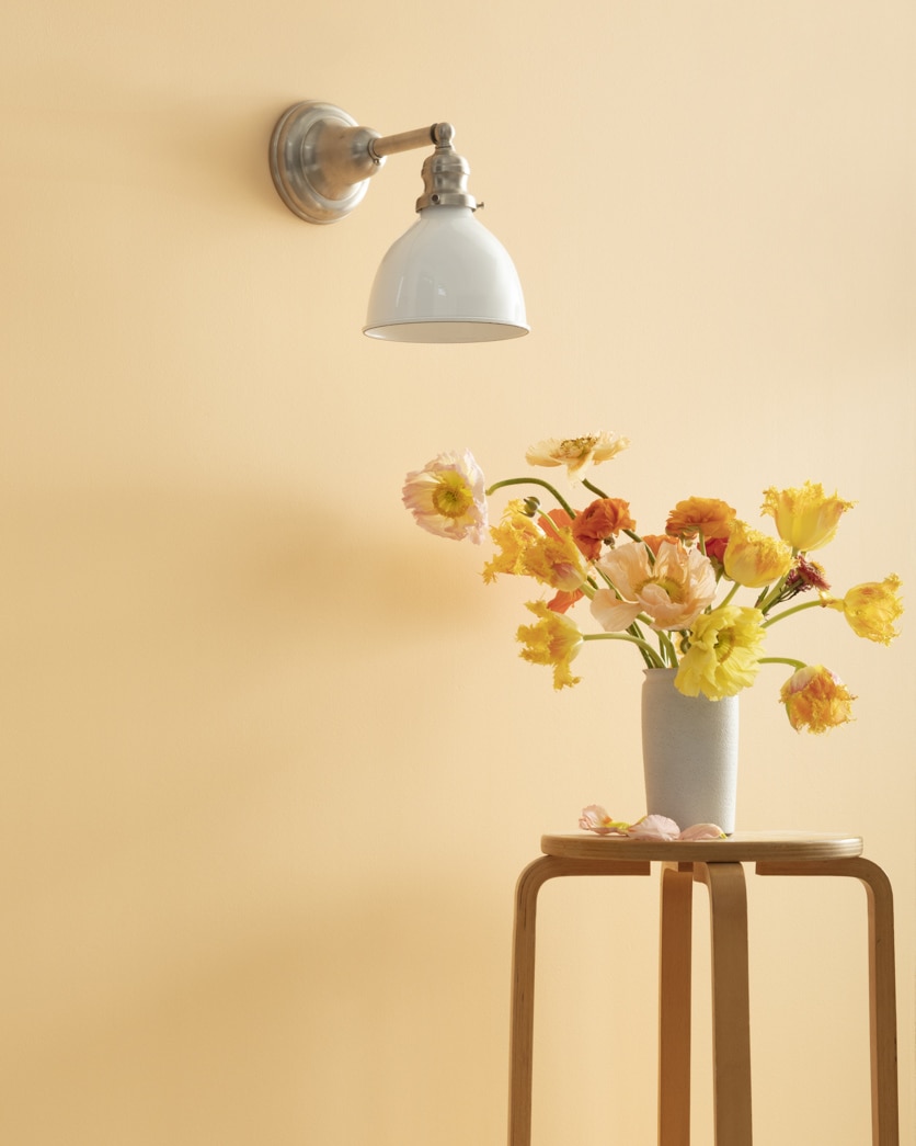 Painted wall in Orange Sherbet 122
