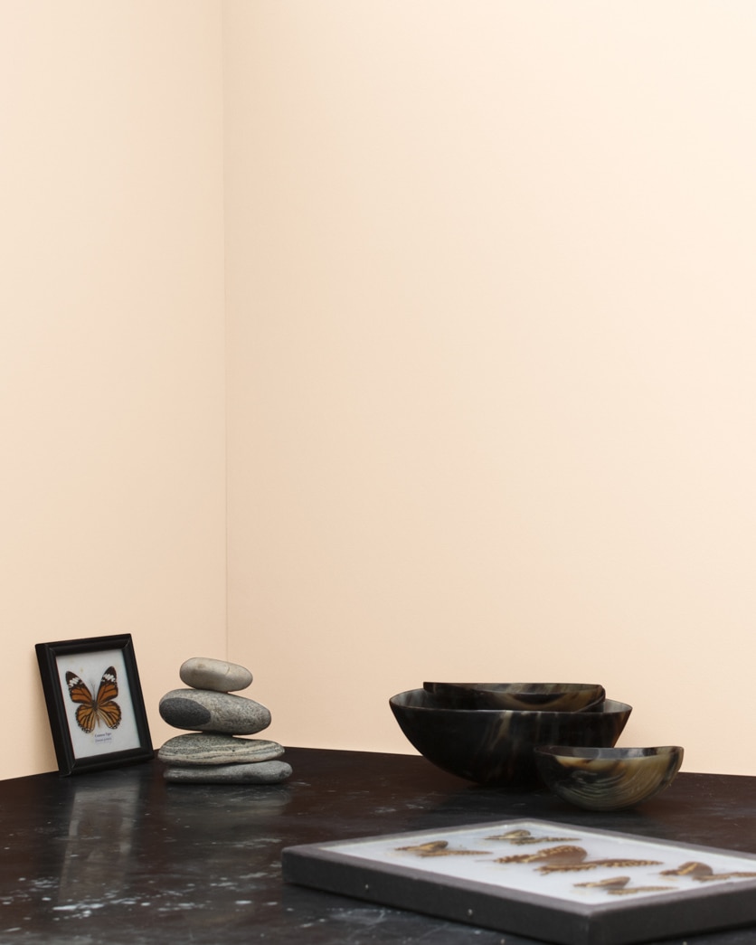 Painted wall in Orange Sorbet 057