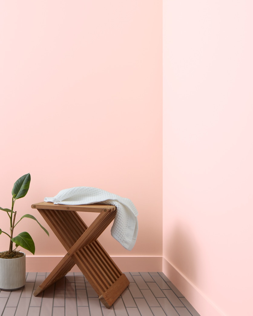 Painted wall in Pacific Grove Pink 889