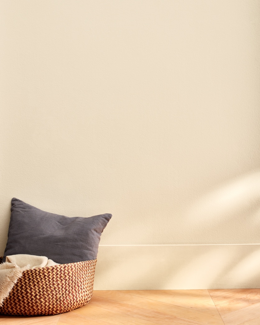 Painted wall in Pale Almond OC-2
