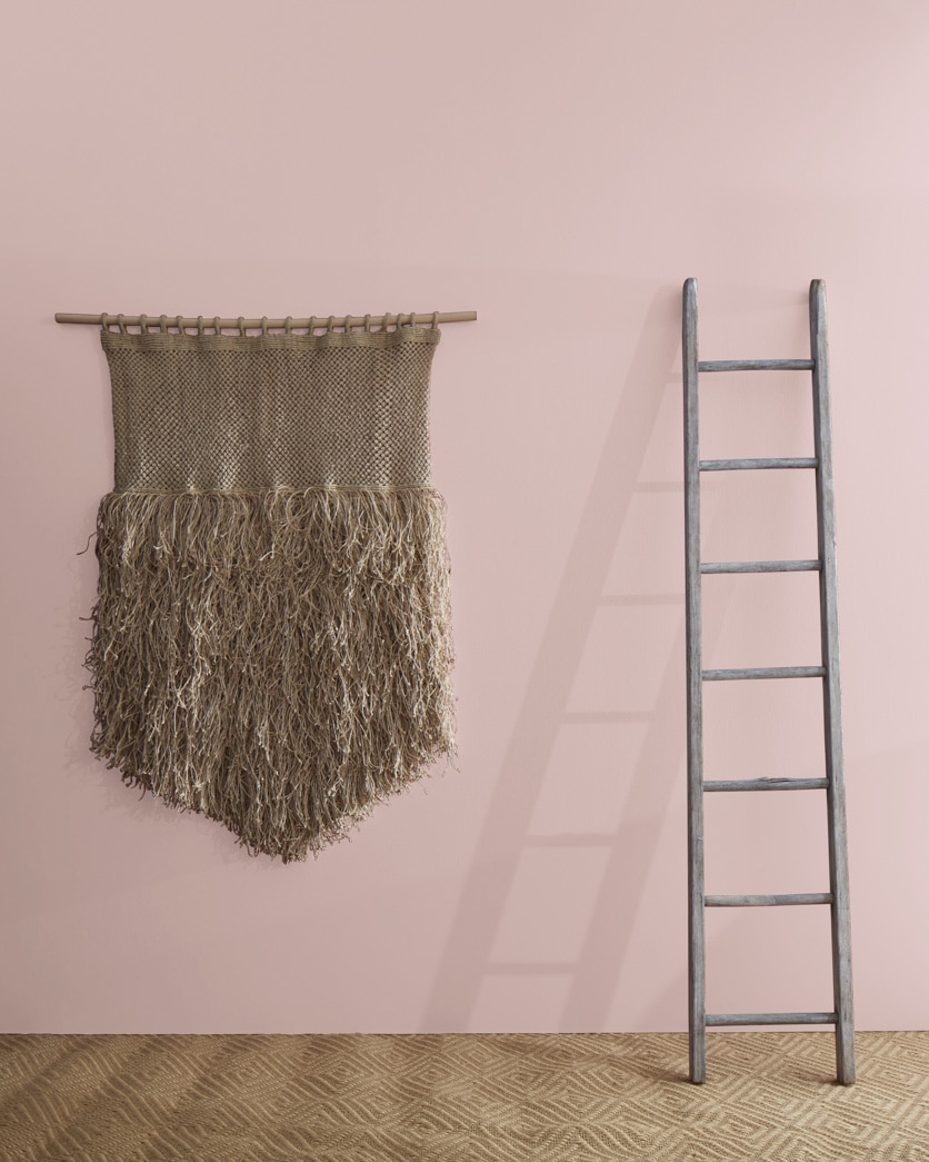 Painted wall in Pale Berry 2103-60