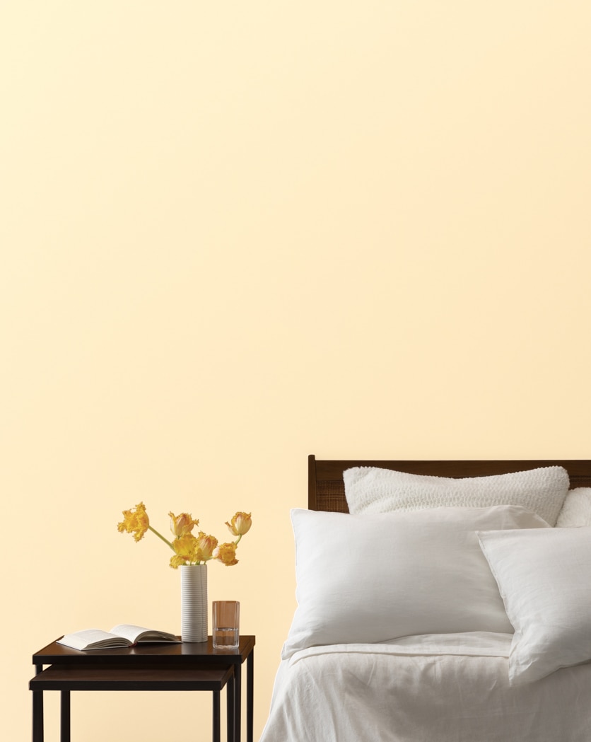 Painted wall in Pale Daffodil 2017-60