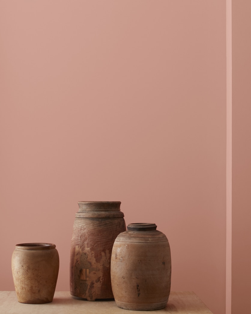 Painted wall in Palmetto Pink 1188