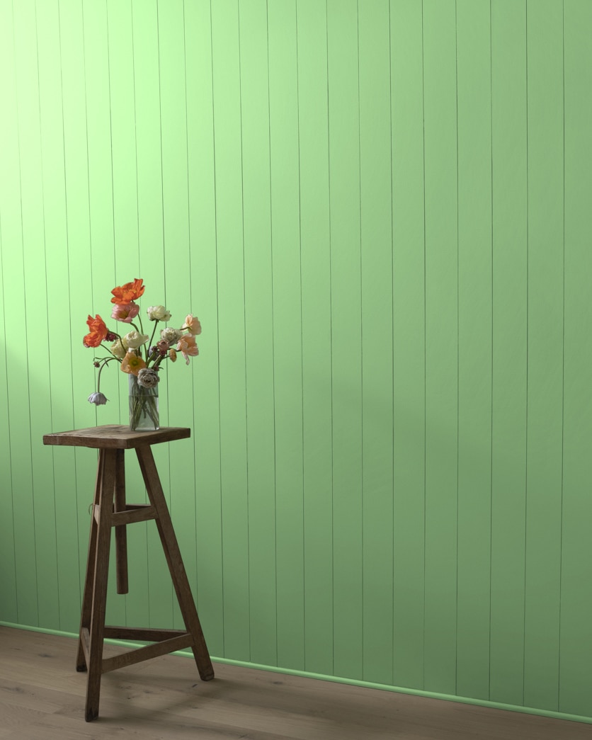 Painted wall in Paradise Hills Green 550