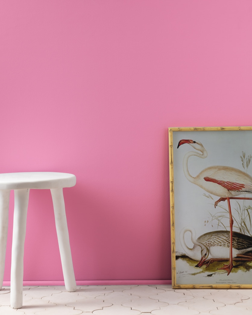 Painted wall in Paradise Pink 2078-40