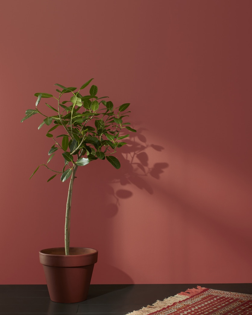 Painted wall in Parisian Red® CSP-1170