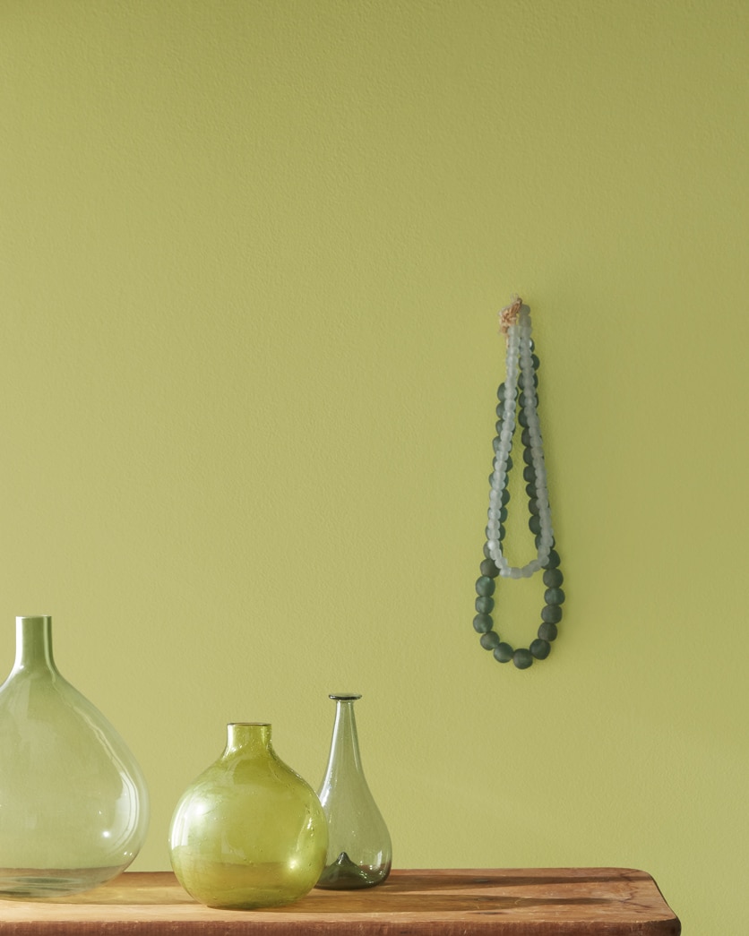 Painted wall in Parrot Green CW-465