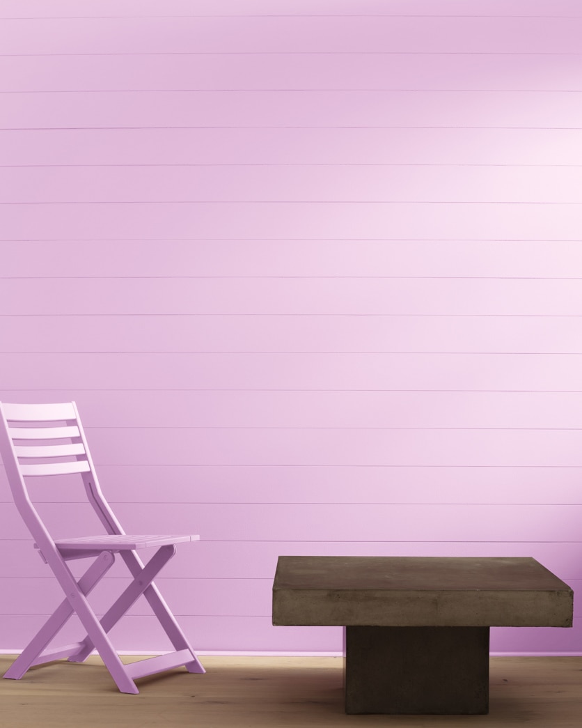 Painted wall in Passion Pink 2075-60