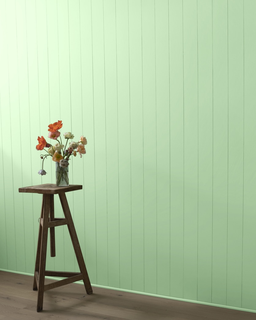 Painted wall in Pastel Green 548