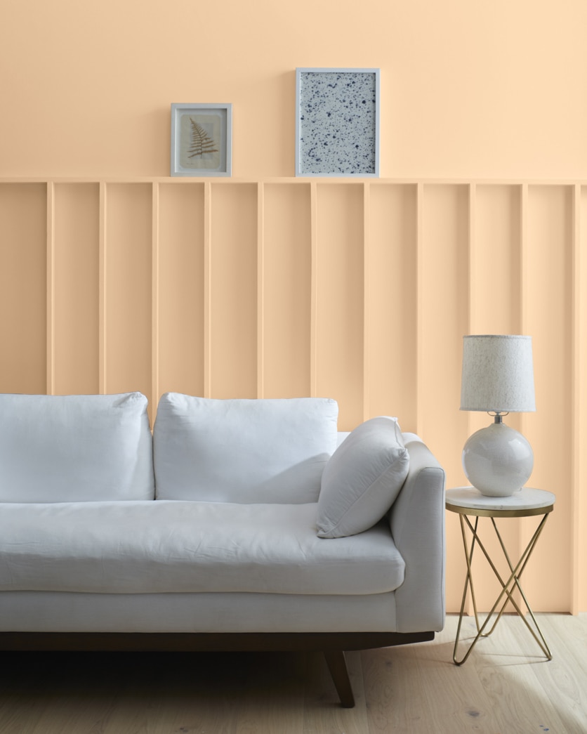 Painted wall in Peach Complexion 115
