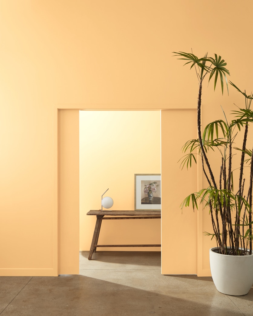 Painted wall in Peach Crisp 159
