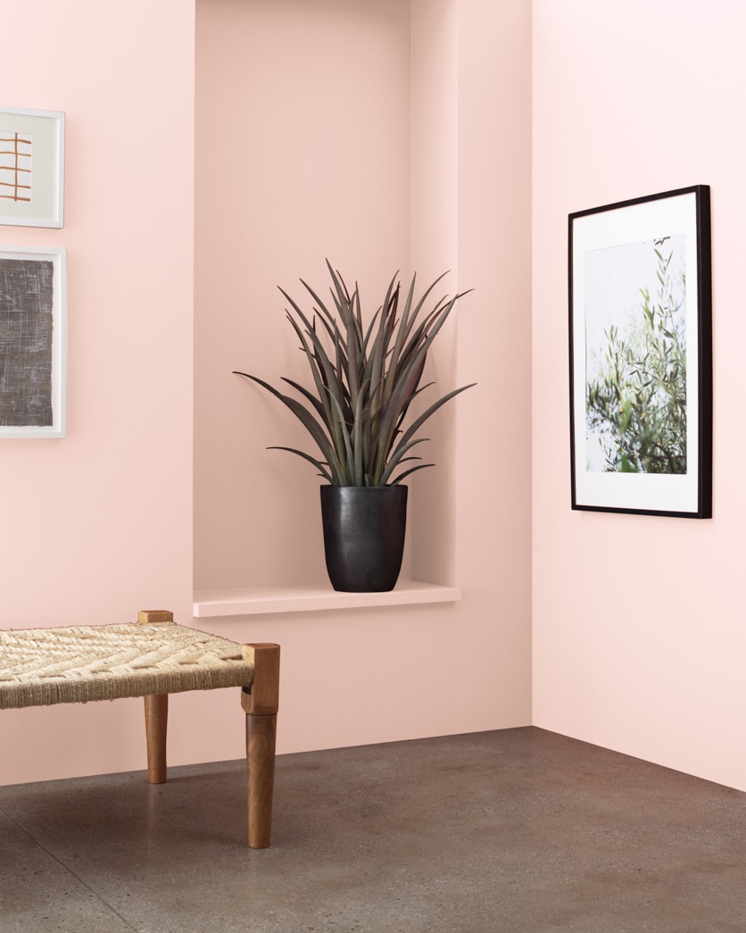 Painted wall in Peach Kiss 2089-60