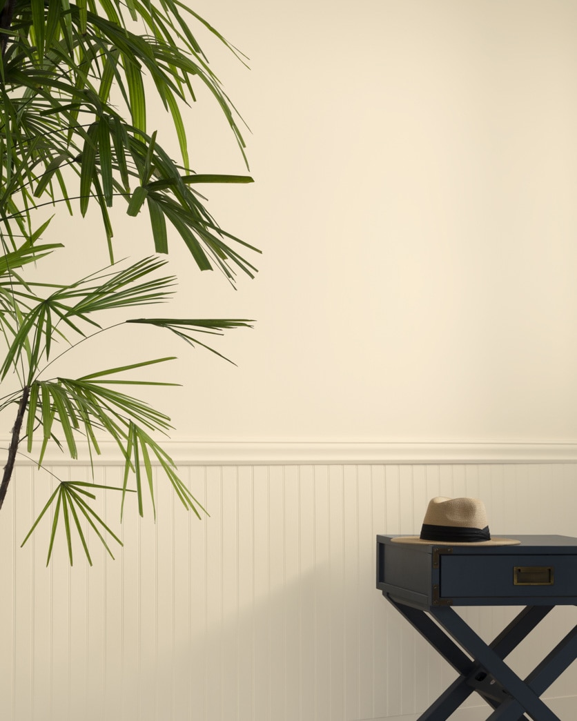 Painted wall in Peach Pie 127