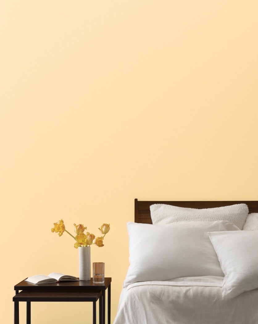 Painted wall in Peach Yogurt 150