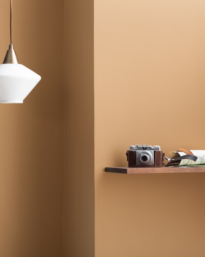 Painted wall in Peanut Shell 2162-40
