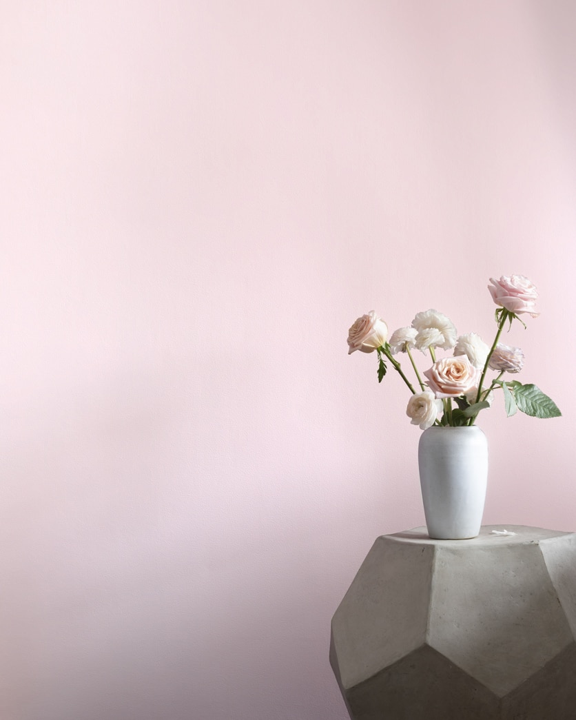 Painted wall in Peppermint 1359